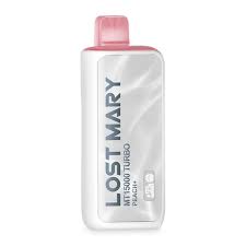 [Q-2772-19] LOST MARY MT15000 5PK 16ML (Peach+)