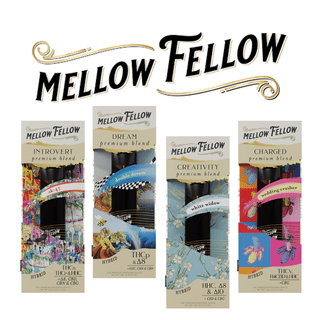 [T-1173-01] MELLOW FELLOW 2ML DISPOSABLE (Clarity Blend Tangie)