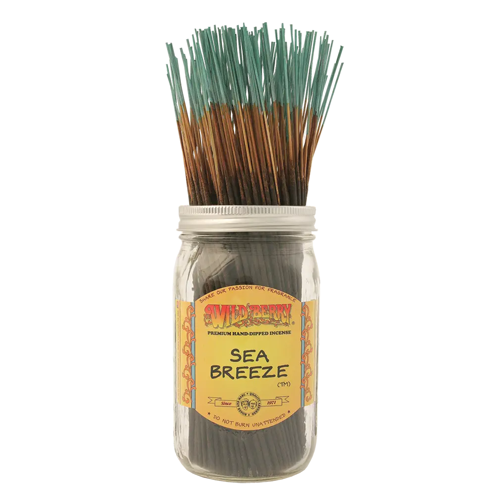 [Q-4056-06] WILD BERRY 100 INCENSE STICKS (Sea Breeze)