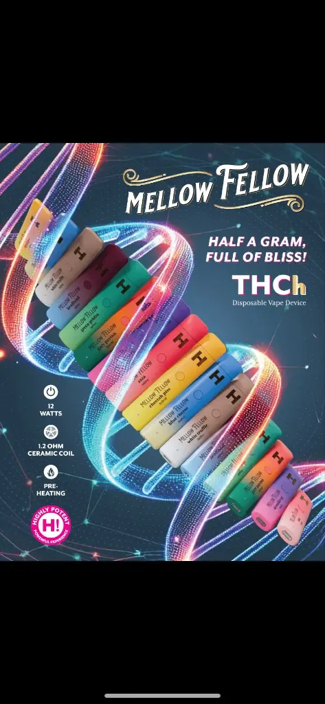 MELLOW FELLOW THC-H Disposable 0.5G 6PK a Box