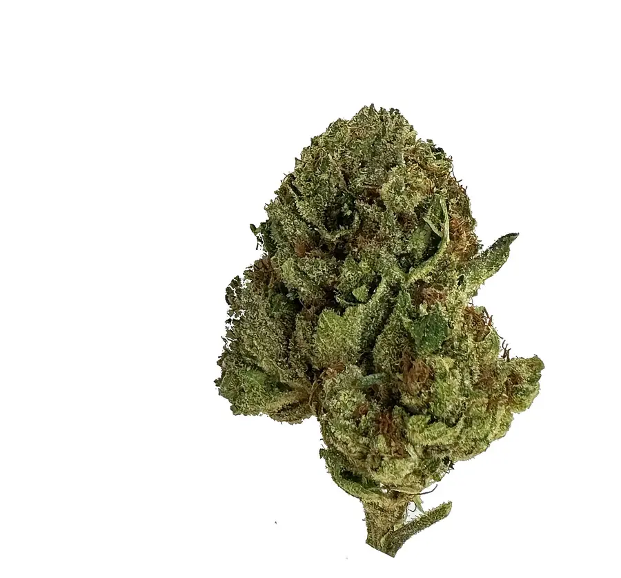 [Q-4761-04]  Budz Burn LUX THC-A Flower 7G Jar (Grape Head)