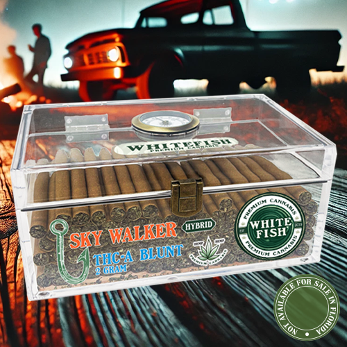 [T-1352-01] White Fish With Humidor 7G PreRoll THC-P 25PK (Blue Dream)