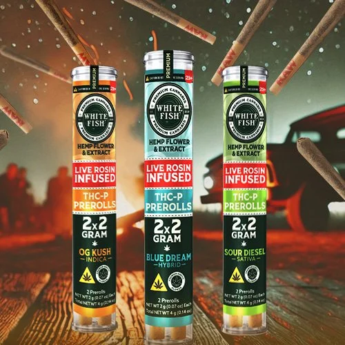 White Fish THC-P 2Gram 2PreRoll a PK 10PK a Box