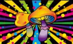 [T-1401-08] Rolling Tray18*14*1.5cm (MUSHROOM)