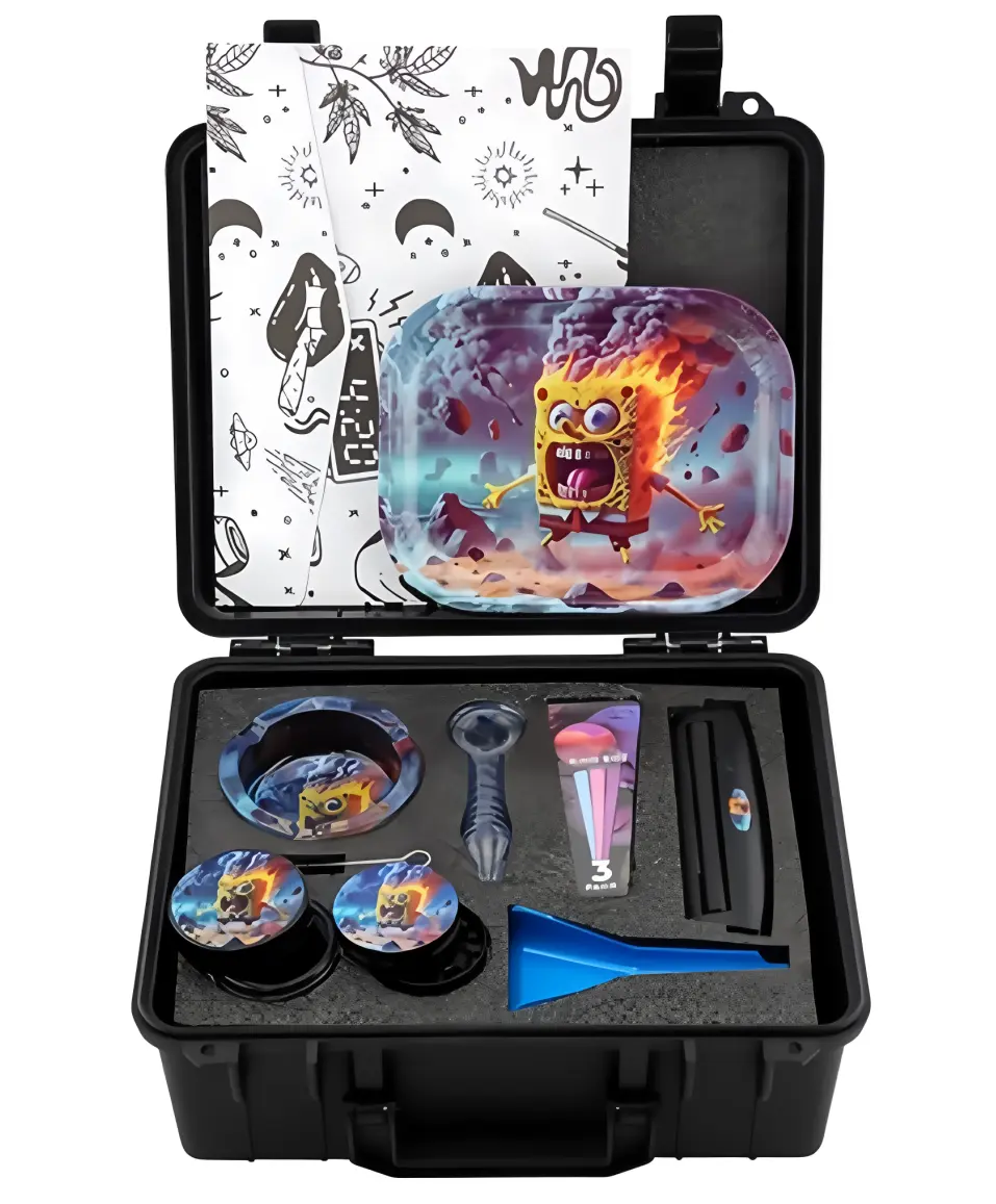 [T-1494-04]  Suitcase Paster Set (Sponge bob Burning)