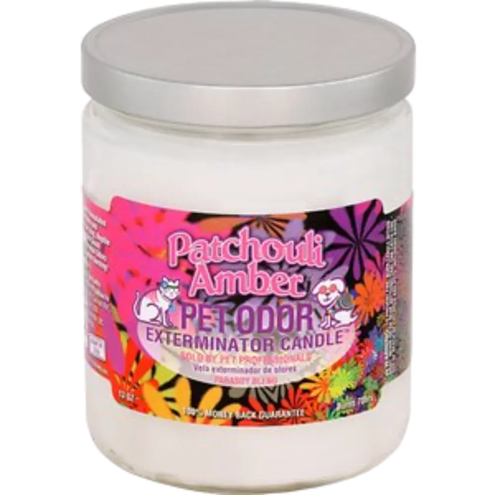 [Q-3568-19] SMOKE ODOR CANDLE 13OZ (Patchouli Amber)