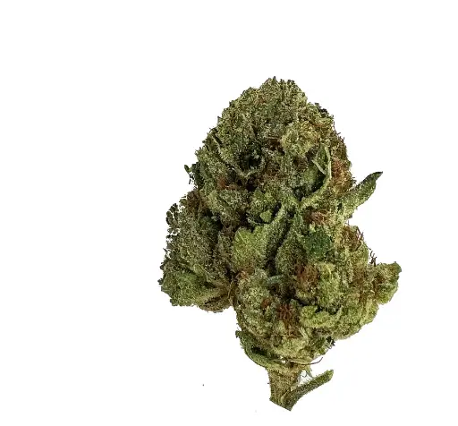  Budz Burn LUX THC-A Flower 3.5G Jar