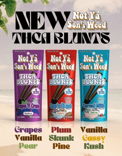 NOT YA SON'S WEED 2PC THCA BLUNT 10PK DISPLAY